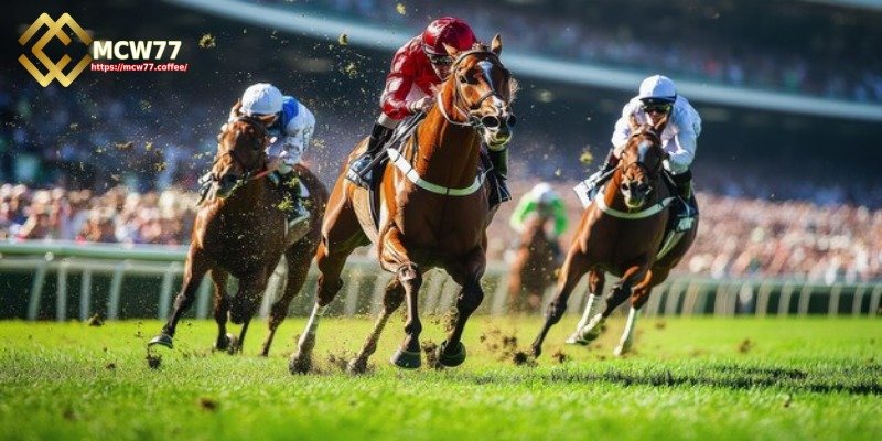 Carefully Evaluate the Racehorse Before Betting