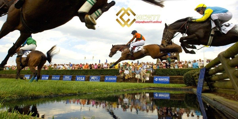 Learn from Experienced Bettors